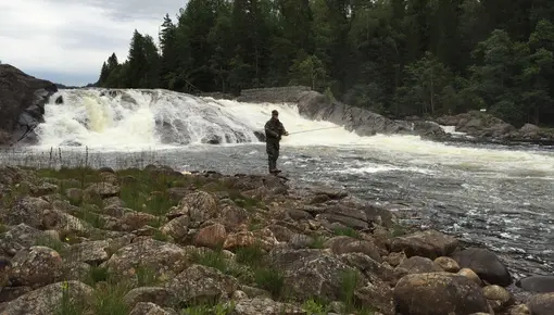 Teinefoss