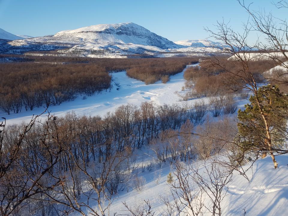 Brekket på Kovakoski med utsikt nedover elva