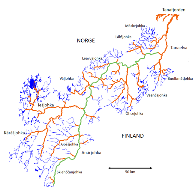 Figur 1: Kart over lakseførende områder i Tanavassdraget. Den felles riksgrensestrekningen er merket med grønt.
