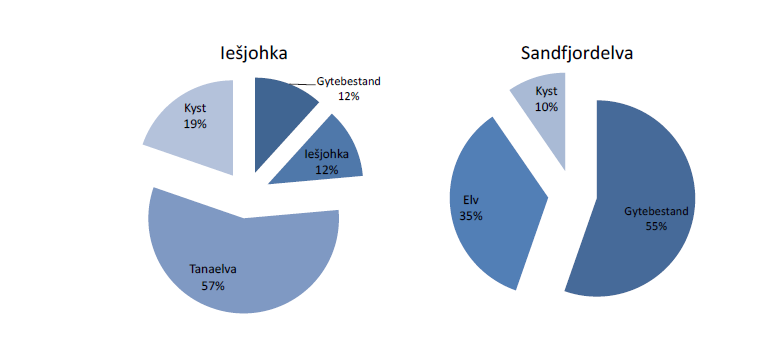 Figur 4. Estimat av gytevandrende laks som skal til Iešjohka (en sideelv øverst i Tana, venstre) og Sandfjordelva (en smålakselv på ytre kyst av Finnmark i Gamvik kommune).