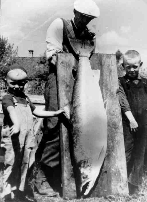 Rekordlaxen, 28 kg, fisket på stang – 29. mai 1940.