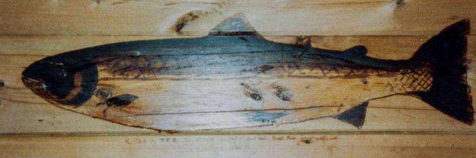 Maleri direkte på stokkeveggen av laks i stuen på Lille-Strædet.  ”Killed by T.F.R 1908 ” tror vi det står brent inn i stokkeveggen i stuen hvor lakselorden holt til for 100 år siden