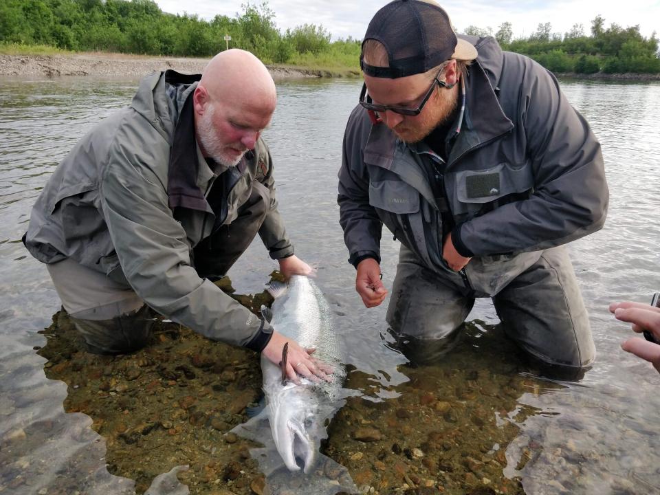 Nils-Arild Lundberg caught and released this great specimen. This secured him the season license for 2019 - congratulations!