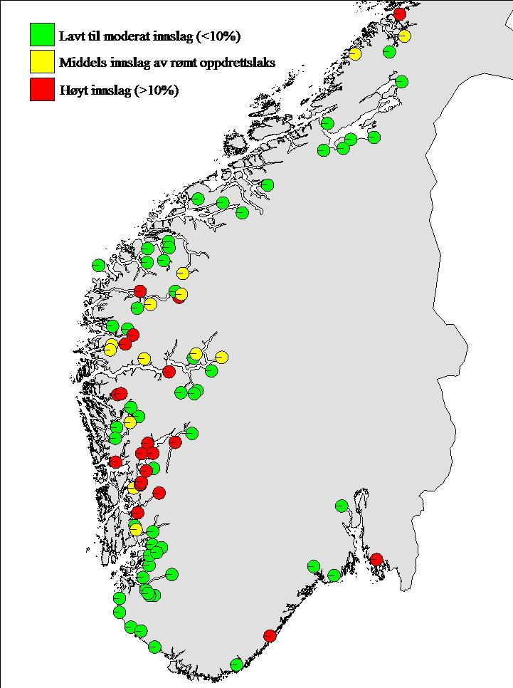 Kartet viser innslag av rømt oppdrettslaks i elver i Sør-Norge. Kart: Havforskningsinstituttet.
