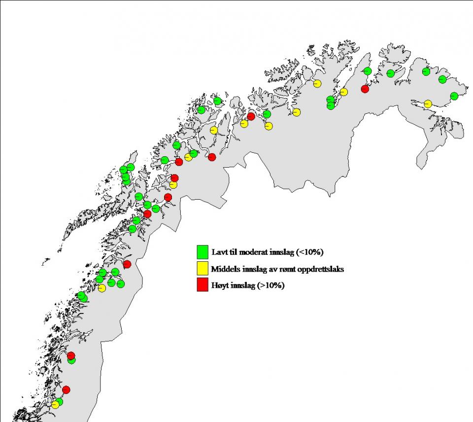 Kart over innslag av rømt fisk i elver i Nord-Norge. Illustrasjon: Havforskningsinstituttet.