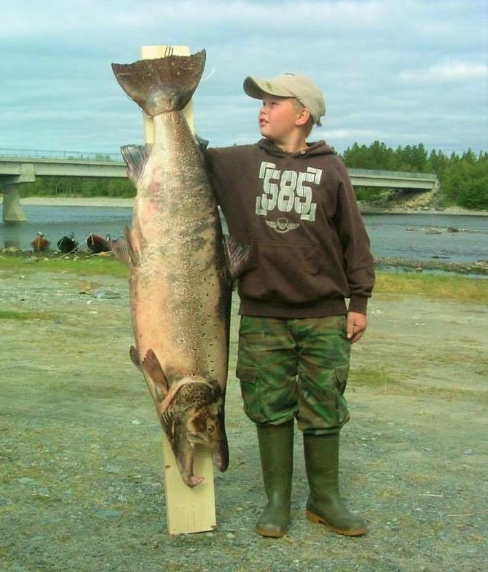 Bjørn Nilsen var 10 år gammel da han fikk denne storlaksen på 23,2 kg i Øvre Stengelsen i 2005. 