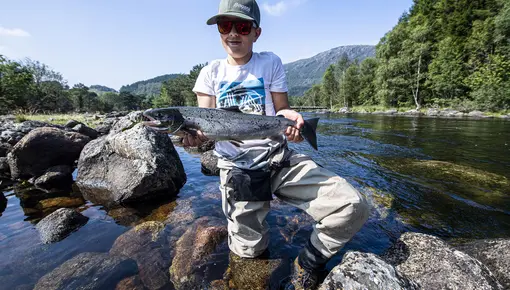 Laks i Bjerkreimselva